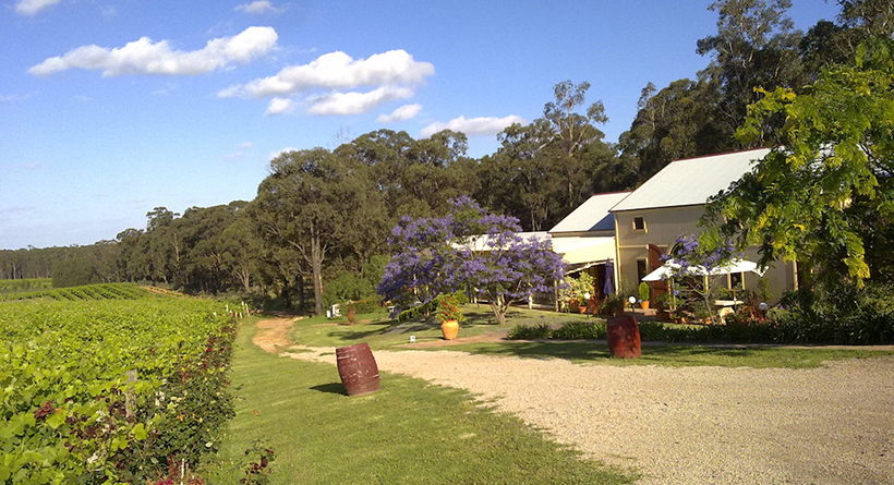 Tintilla Estate vineyard and cellar door | Halliday Wine Companion